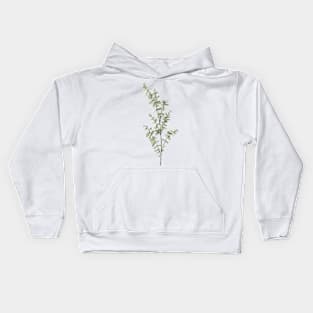 Baby Blue Eucalyptus Kids Hoodie